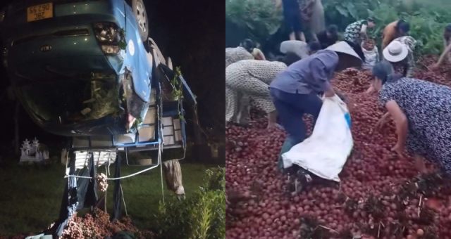 Xe tải gặp tai nạn trên đường, vải bị người dân nhặt sạch: Hiểu nhầm hay 'hôi của'?